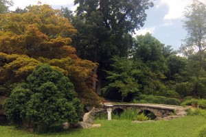 Japanese Gardens at Maymont Park